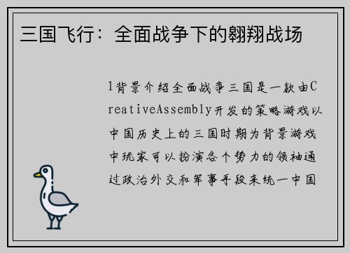 三国飞行:全面战争下的翱翔战场 三国飞行:全面战争下的翱翔战场